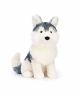 Jellycat Jackson Husky