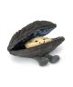 Jellycat Amuseables Michelle Mussel