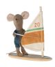 Wind Surfing Little Brother Mouse