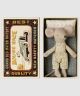 Little Brother Mouse in Matchbox