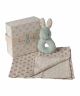 Mint Rabbit Rattle Set