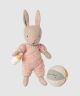 Micro Sand and Rose Rabbit Set