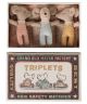 Baby Mouse Triplets in a Matchbox