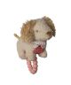 Dancing Dachshund Teether Rattle