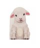 Furry Lamb: A Mini Touch and Feel Board Book