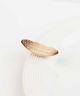 Creative Quill Mini