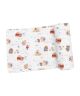 Camping Bear Adventures Swaddle