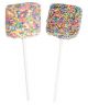 Rainbow Confetti Marshmallow Pop