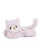 Cozy White Cat