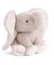 August Elephant