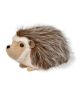 Bristle Hedgehog Large