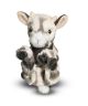 Lil’ Baby Goat