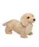Haisley Golden Dachshund