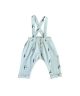 Suspender Penguin Overalls