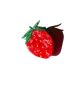 Strawberry Fruit Hand-painted Claw Hair Clip