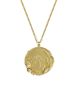 Wild Swimming Medallion Necklace