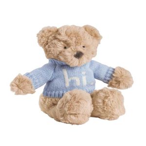 Blue Hi Baby Bear Plush Pal