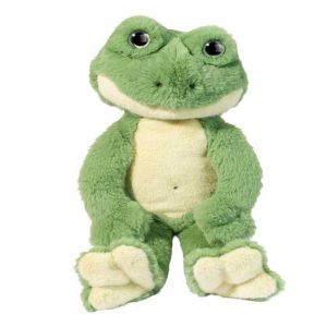 Floyd Frog