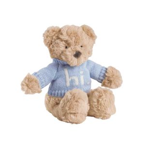 Blue Hi Baby Bear Plush Pal