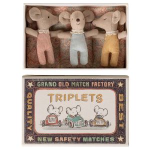 Baby Mouse Triplets in a Matchbox